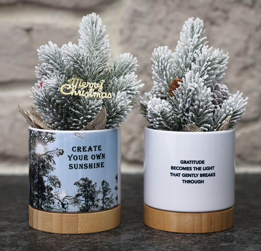 Small potted Christmas tree in decorative pot with a winter scene and inspirational quotes.