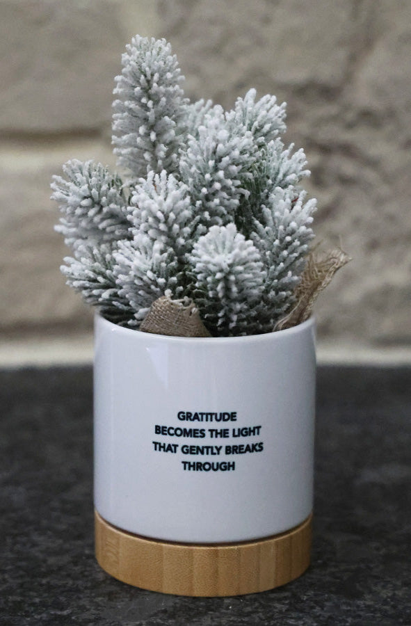 Holiday Planter - CREATE YOUR OWN SUNSHINE