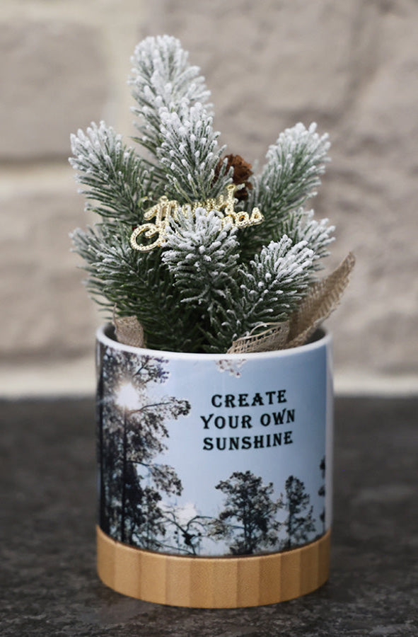 Holiday Planter - CREATE YOUR OWN SUNSHINE