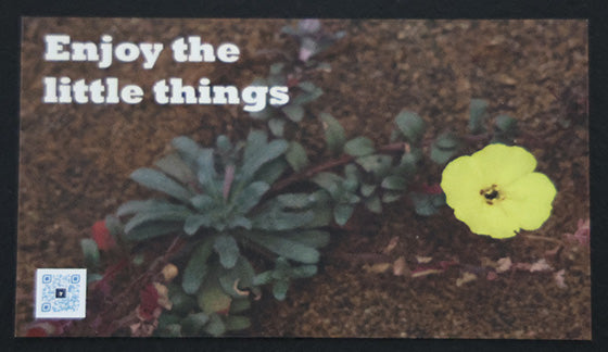 Mindful Magnet - Enjoy the little things - Set of 25