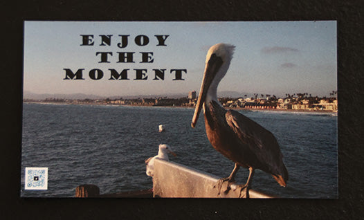 Gratitude Magnet Enjoy the Moment Quote Single