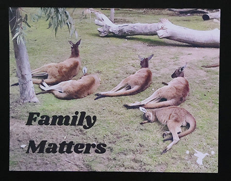 Thankful Note Card - Family matters - Set of 25