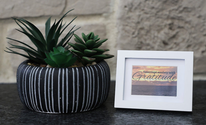 Framed picture with 'Interrupt anxiety with Gratitude' quote.