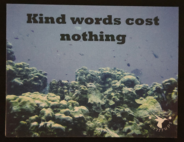 Thankful Note Card - Kind words cost nothing - Set of 25