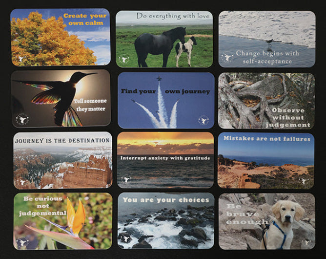Business Card Variety