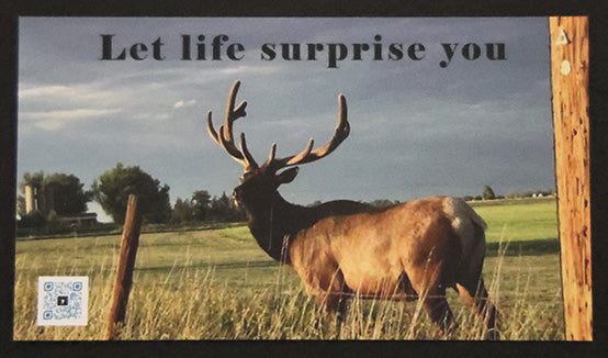 Mindful Magnet - Let life surprise you - Set of 25