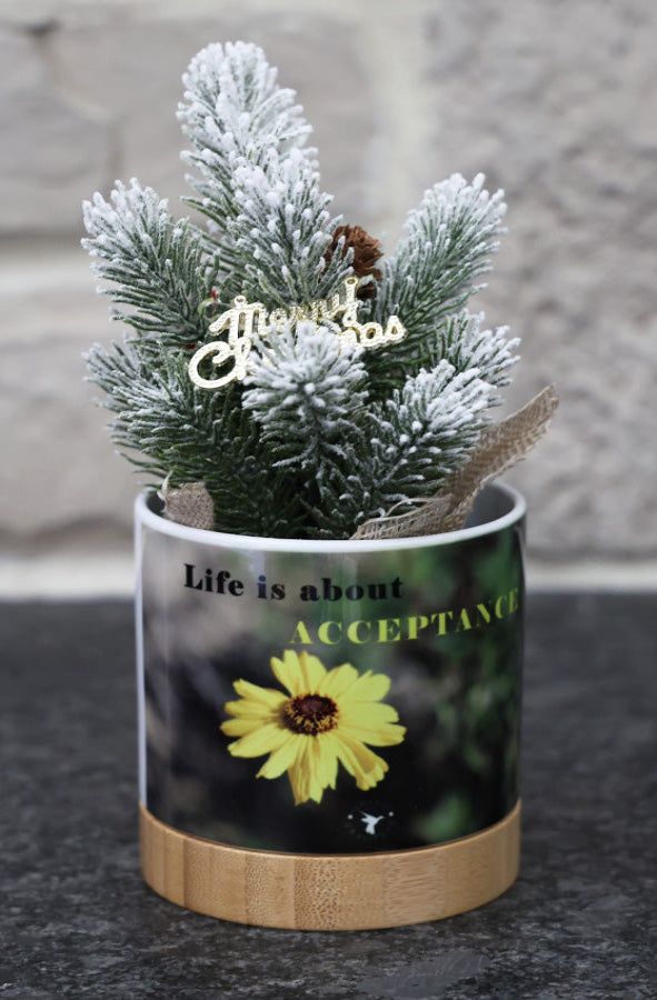 Holiday Planter - Life is about Acceptance