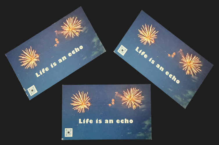 Life is an Echo Magnet