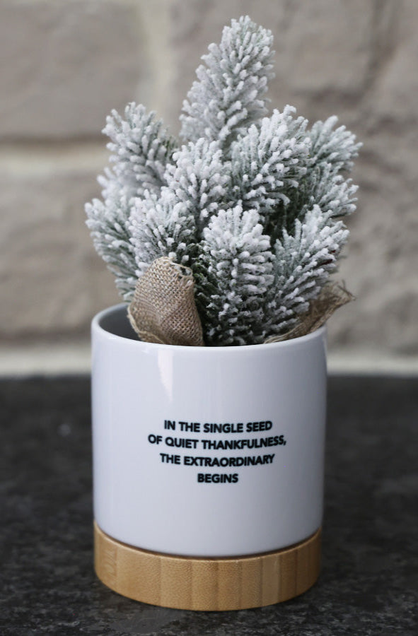 Holiday Planter - Love Deeply Forgive Quickly