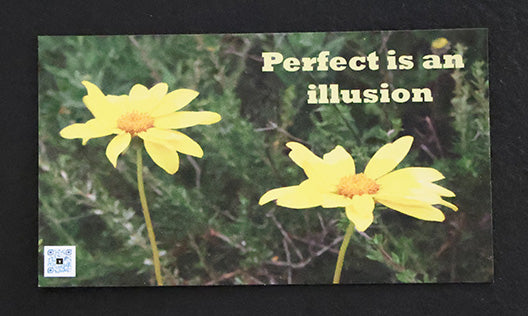 Gratitude Magnet Perfect is an Illusion Quote Single
