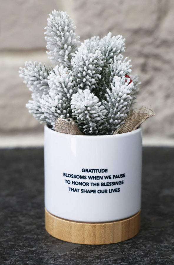 Holiday Planter - Pursue your dreams