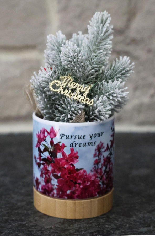 Holiday Planter - Pursue your dreams