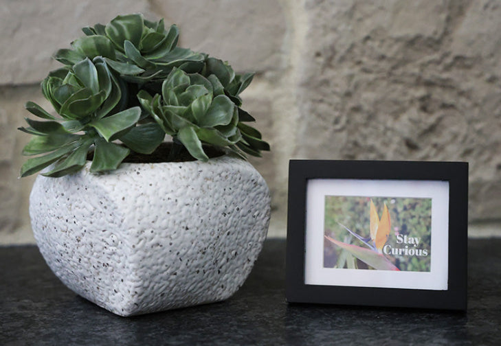 Framed picture with 'Stay Curious' quote.