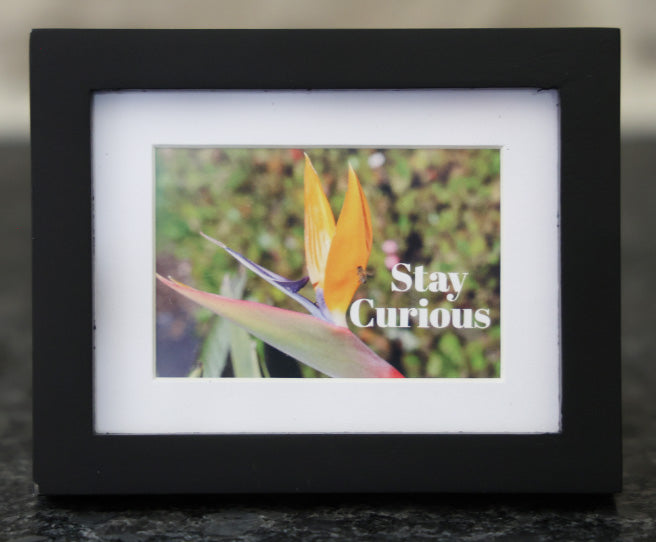 Mini Frame - Stay Curious