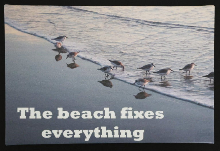 Canvas print with scenic of Birds walking along a beach 'The beach fixes everything' text.