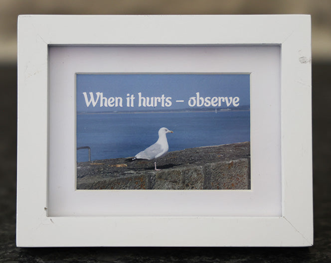 Mini Frame - When it hurts - observe