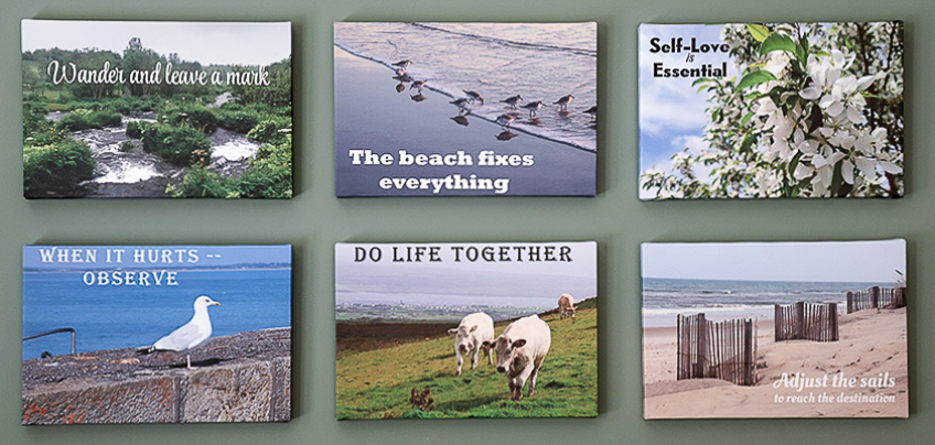 Canvas Prints