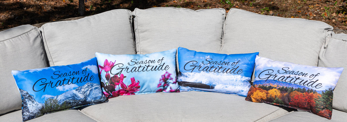 Decorative Throw Pillows