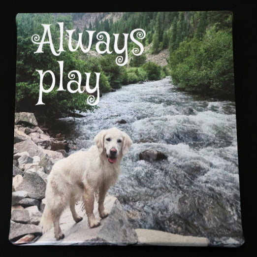 Canvas print with dog standing on rocks by a river with 'Always play' text.