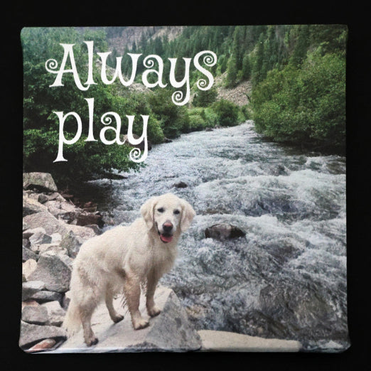 Canvas print with dog standing on rocks by a river with 'Always play' text.