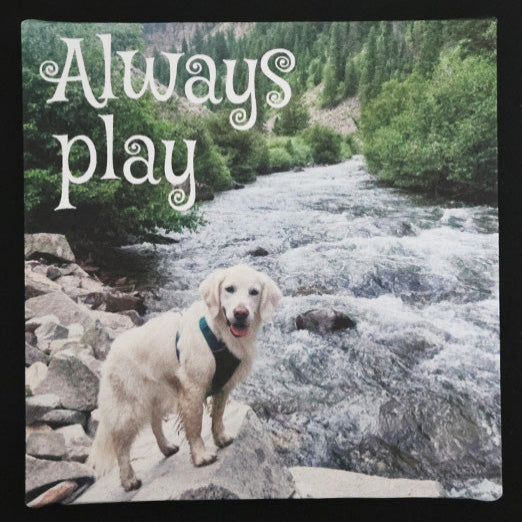 Canvas print with dog standing on rocks by a river with 'Always play' text.