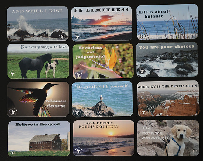 Business Card Variety