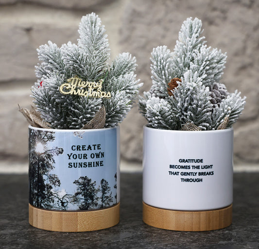 Small potted Christmas tree in decorative pot with a winter scene and inspirational quotes.