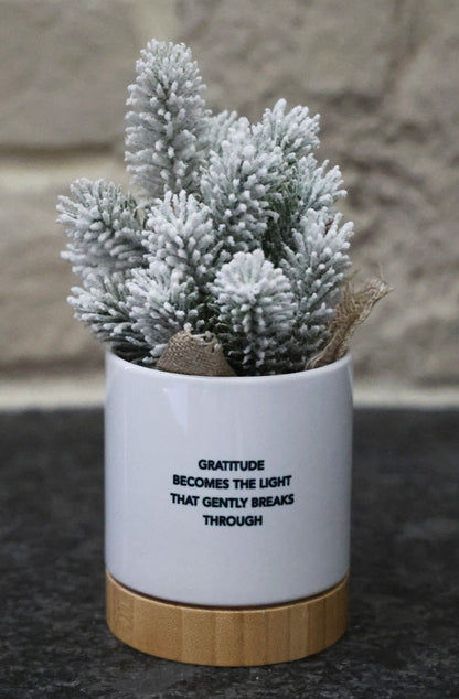 Holiday Planter - CREATE YOUR OWN SUNSHINE