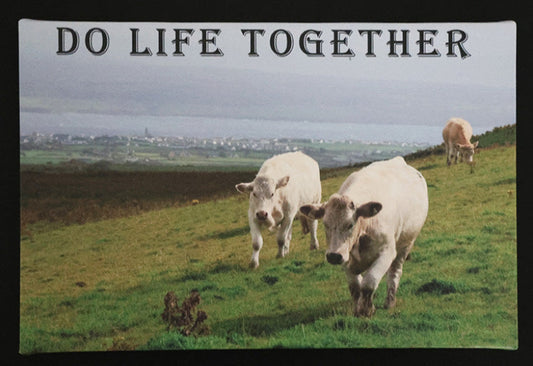 Canvas print with scenic cows standing on a grassy field with 'DO LIFE TOGETHER' text.