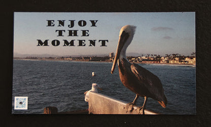 Gratitude Magnet Enjoy the Moment Quote Single