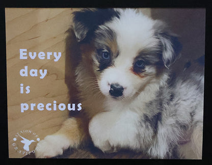 Thankful Note Card - Every day is precious - Set of 25