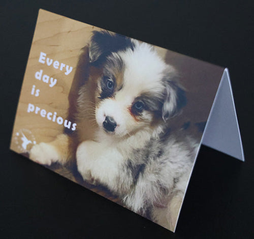 Every Day is Precious Note Card