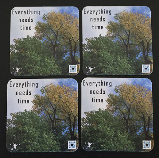Everything Needs Time Coaster