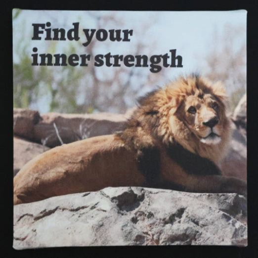Canvas print with lion lying on a rock with 'Find your inner strength' with text.