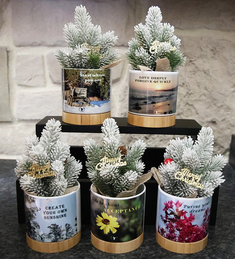 Small potted Christmas tree in decorative pot with inspirational quotes.