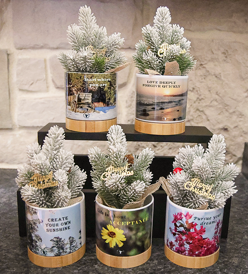 Small flower pots with decorative inspirational quotes