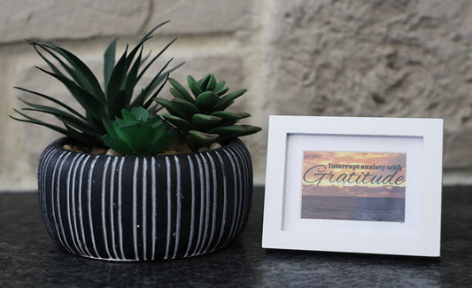 Framed picture with 'Interrupt anxiety with Gratitude' quote.