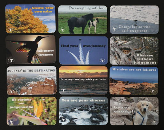 Business Card Variety