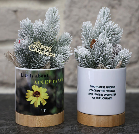 Small potted Christmas tree in decorative pot with a floral scene and inspirational quotes.
