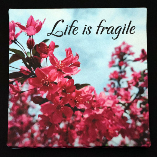 Canvas print with red flow blossoms against a blue sky with 'Life is fragile' text.