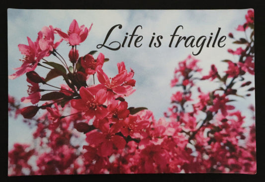 Canvas print with scenic flowers with 'Life is fragile' text.