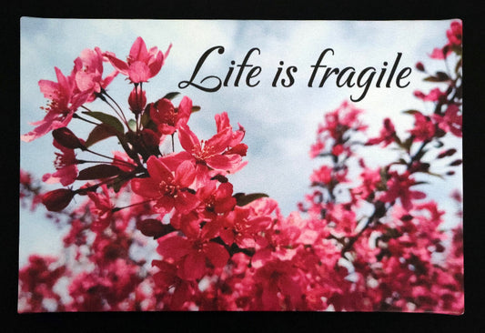 Canvas print with scenic flowers with 'Life is fragile' text.