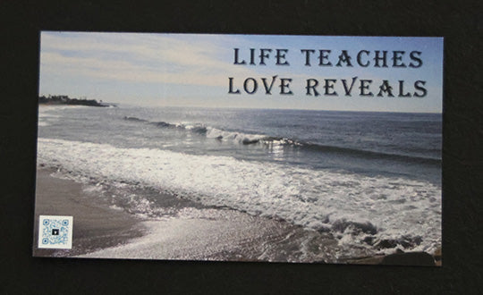 Gratitude Magnet Life Teaches Love Reveals Quote Single