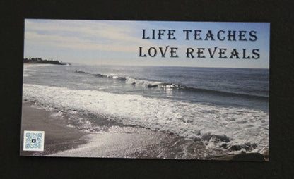 Gratitude Magnet Life Teaches Love Reveals Quote Single