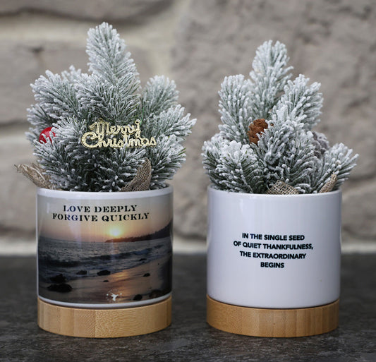 Small potted Christmas tree in decorative pot with a beach sunset scene and inspirational quotes.