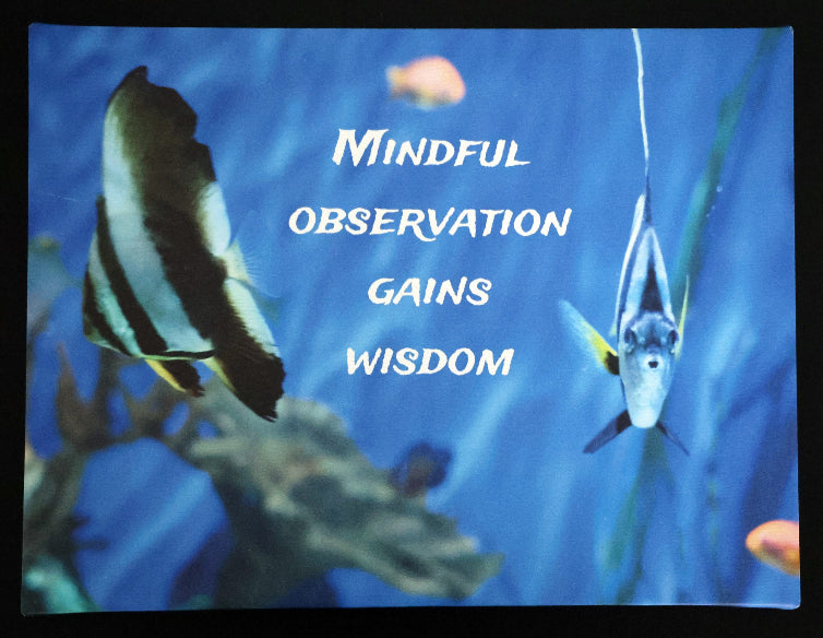 Canvas print with scenic fish swimming with 'Stay Calm' text.