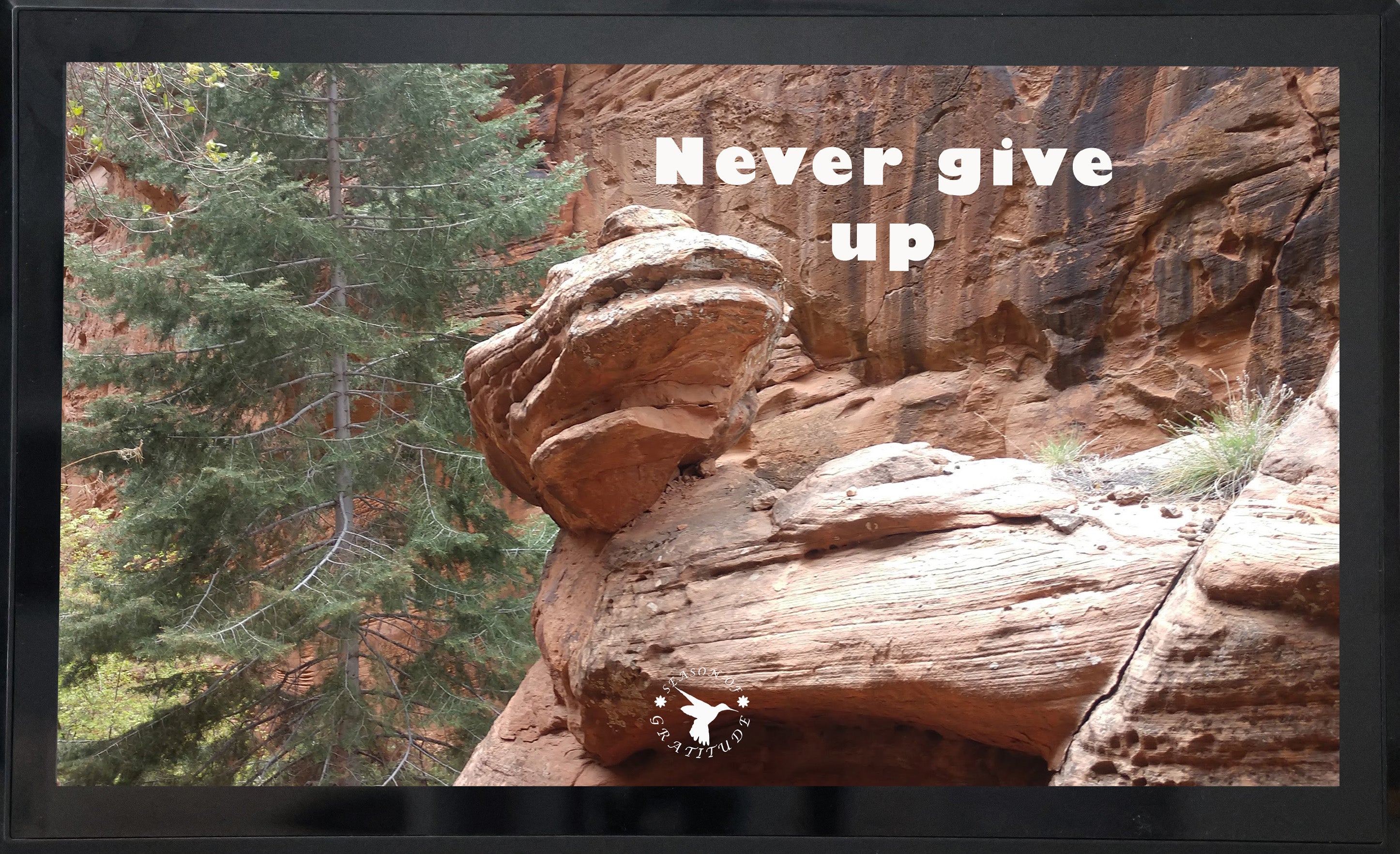 Canyon Display