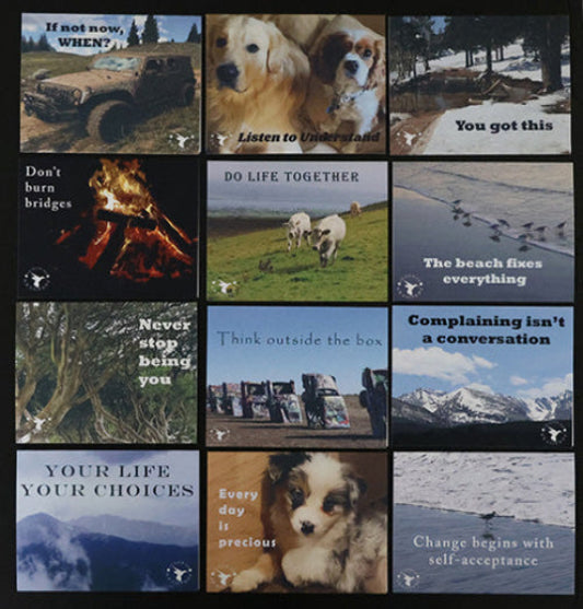 Note Card Variety