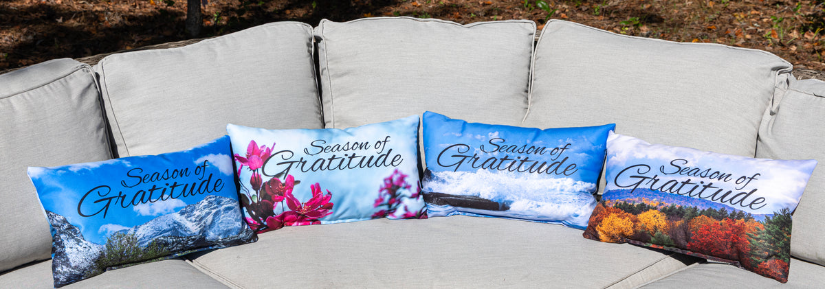 Decorative Throw Pillows