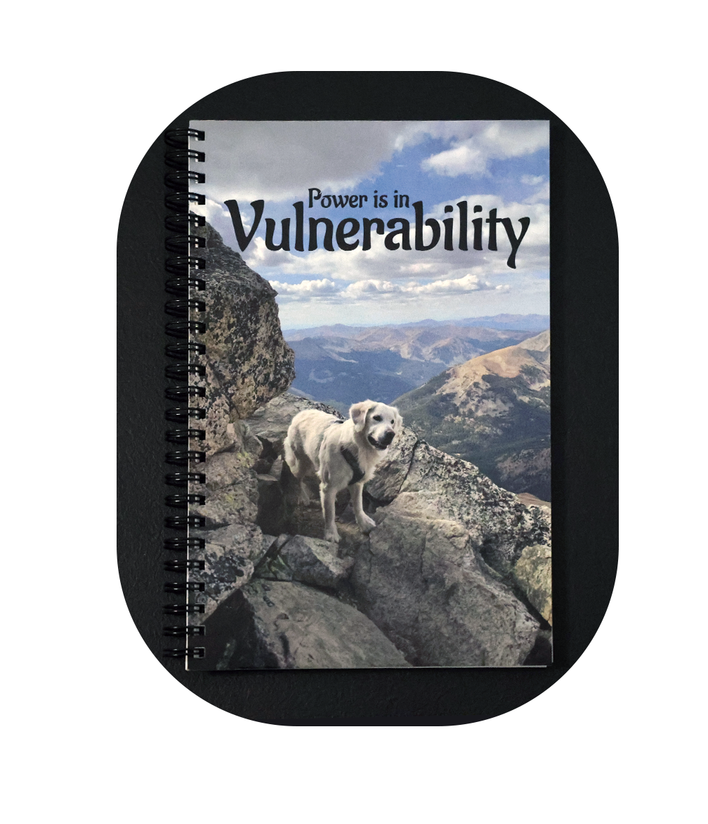 Journal with a dog on a mountain peak on the cover and 'Power is in Vulnerability' text.